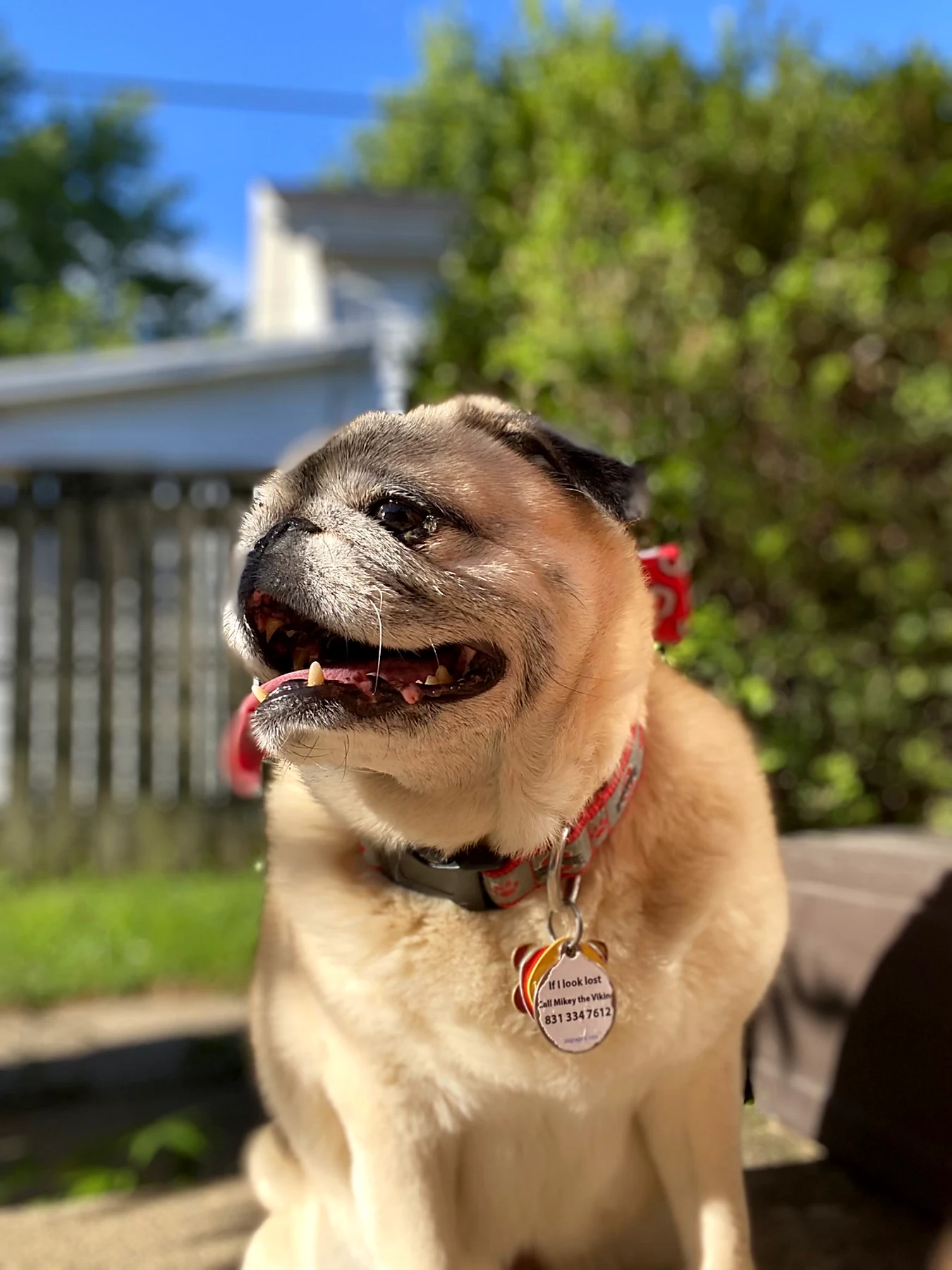 Mr. Cooper smiling warmly outside.
