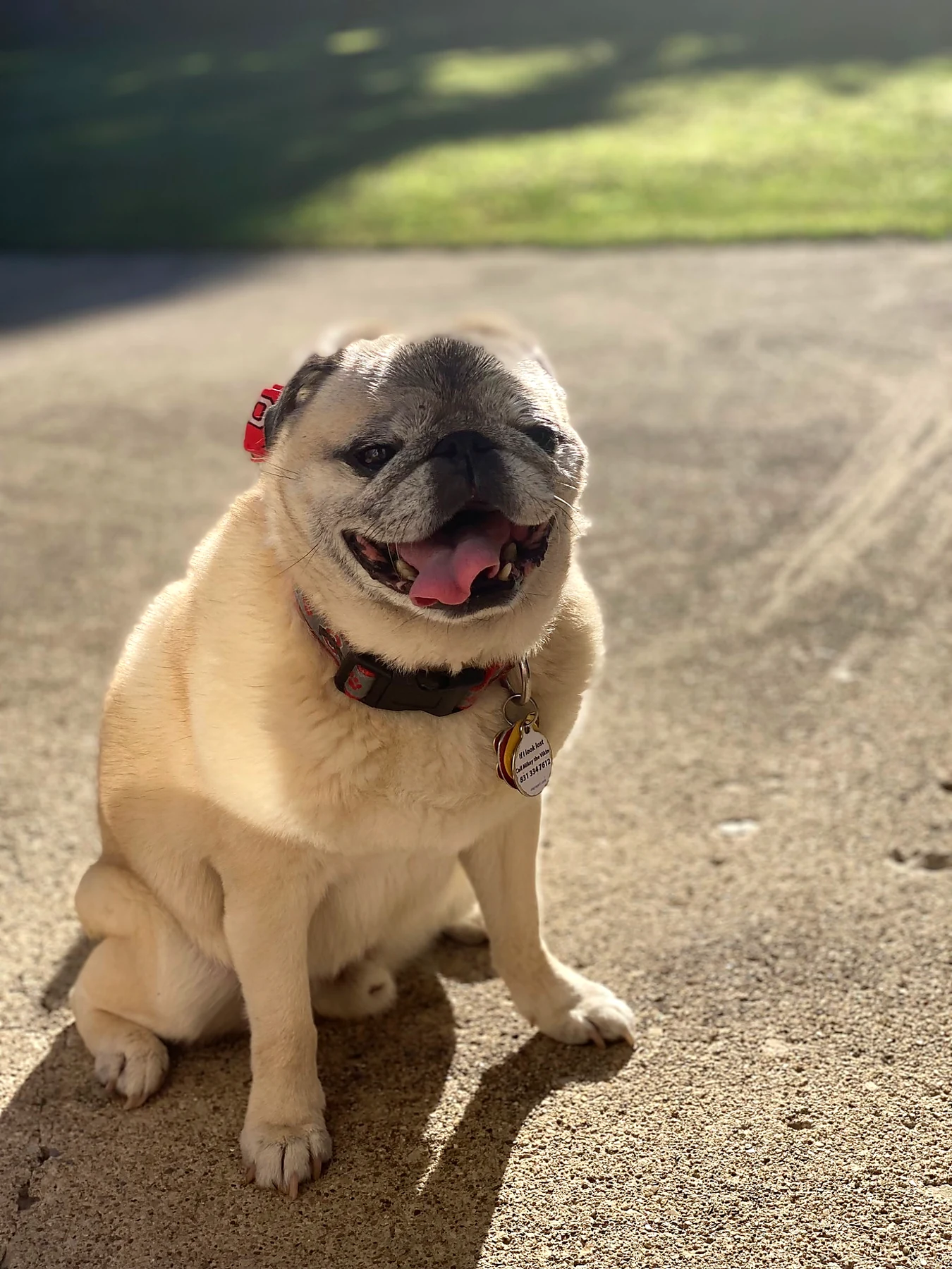 Mr. Cooper smiling in the warm sun.